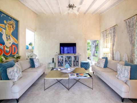 Cozy living room with TV and books