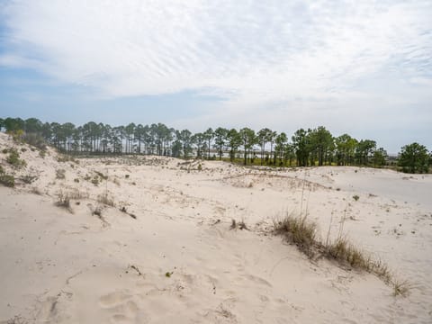 Blue Haven - View from Dunes Near House