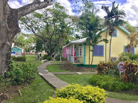 You will be located right in Sunset Crest in Holetown - an amazing location for families, couples or groups of kids. No need to rent a car!