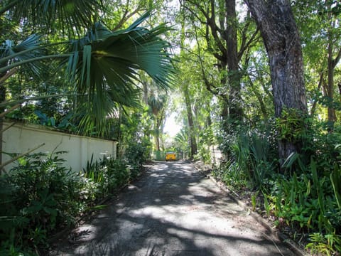 View of our gap leading up to the cottage