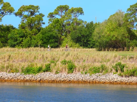 Two people riding bicycles along a grassy path near a body of water, with trees and clear blue sky in the background.