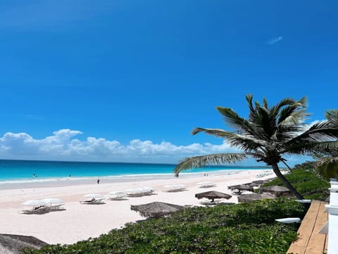 Miles of pink sand beaches.