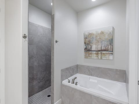 Main Bathroom Tub and Shower