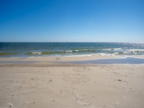 Feelin Salty Gulf Beach