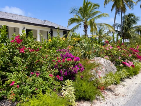 Landscaped path to house.