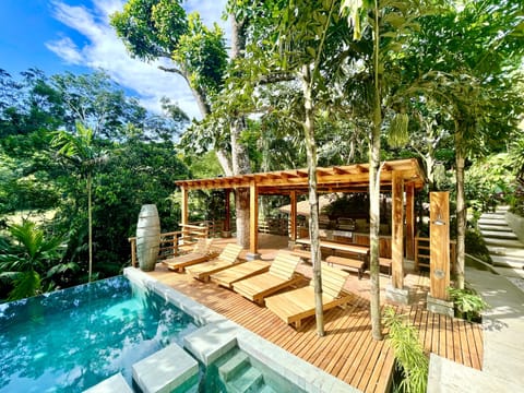Jungle Pool with Loungers