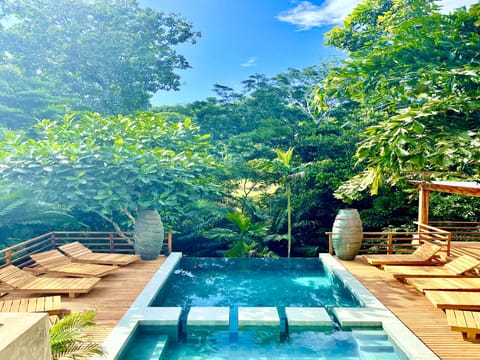 Jungle Pool with Loungers