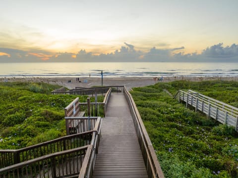 Boardwalk