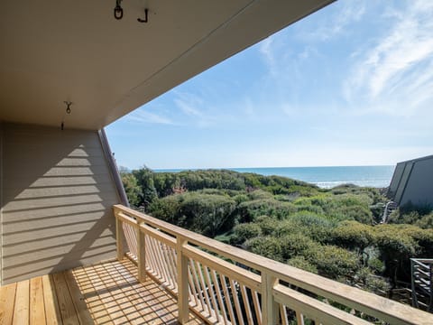 Views of the Maritime Forest and Ocean