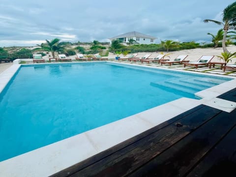 Our ocean-view heated pool next to the pool house equipped with a lounge area with two sofas and an oversized chair, and a dining area equipped with a six-seat dining table.