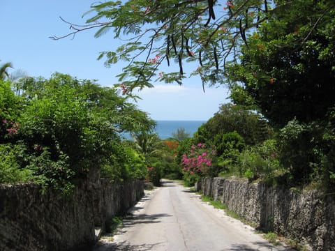 Street in Governor Harbour.