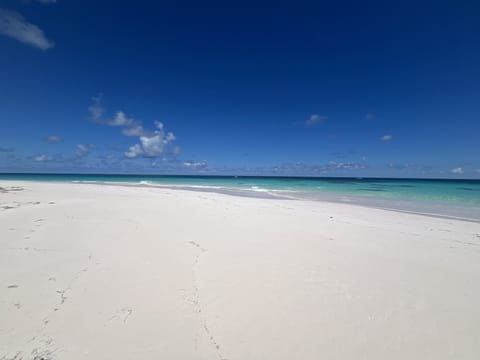 Our beach facing north.