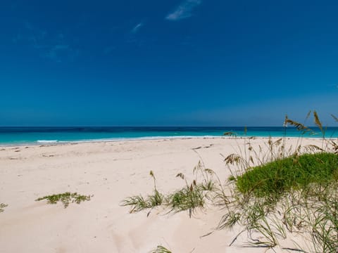 Our pristine beach!  A mile of pinkish sand that you will usually have all to yourself.