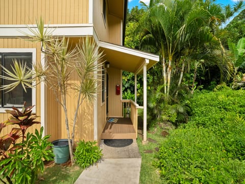 Welcome to The Cozy Aloha!