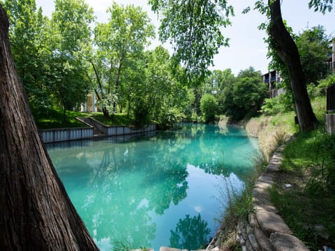 Direct Comal River Access