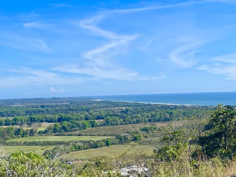 Ocean View from Terrace