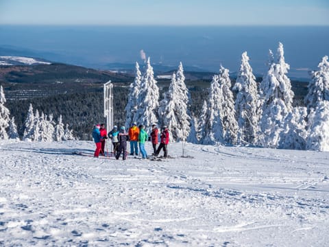 Enjoy Winter Park Resort a 10 min drive away or jump on the free shuttle.