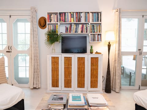 Living area with tv and books.