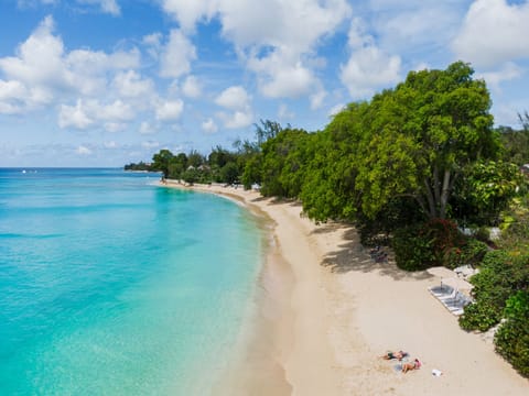 Aerial view of Gibbes Beach