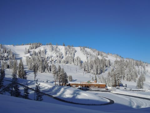 Come Ski Bear Valley Resort - fun for the whole family just a couple of miles from the condo or in the winter there is a free shuttle to and from the mountain