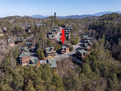 Drone photo with Smoky Mountains in the background.