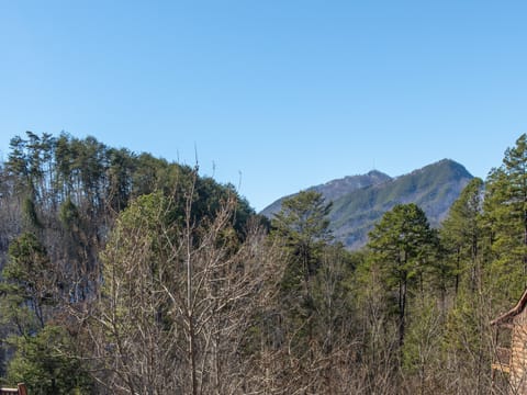 View of Bluff Mountain