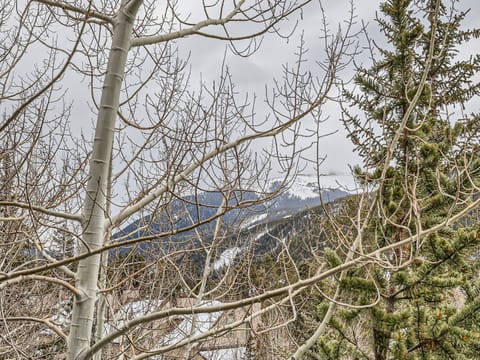 26 Big Boulder Ct #6 - Web Quality - 028 - 33 Views