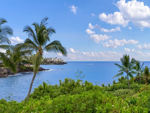 Ocean views on property