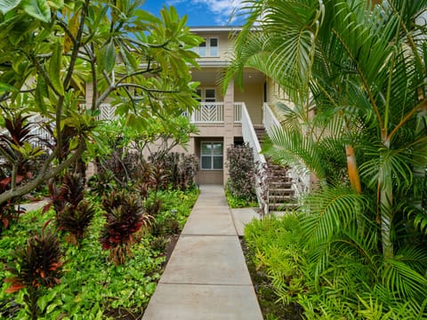 Welcome to Pili Mai 14 G