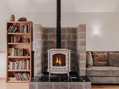 Cozy gas fireplace in living room