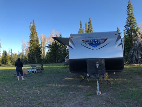 2018 Forest River Salam Ultra Cruse Lite Towable trailer in Cedar City