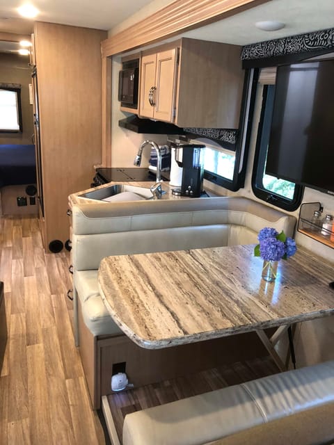 2018 Thor A.C.E.  With King Bed! Drivable vehicle in Greer