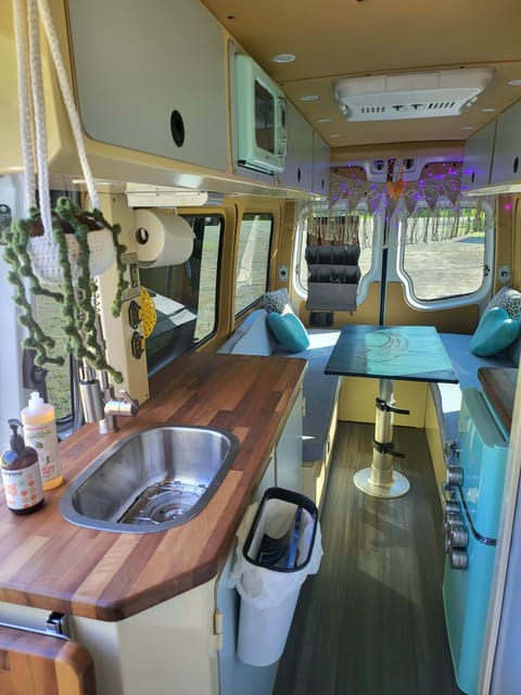 Luxury Sprinter Adventure Van (Whale Shark) Campervan in Anchorage