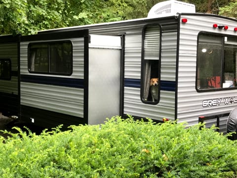 2020 Forest River RV Cherokee Grey Wolf 23MK Tráiler remolcable in Kalamazoo