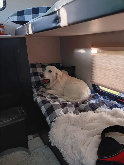 Beau Skye and Willow Dawn's Dog Friendly RV Rental Towable trailer in Portsmouth