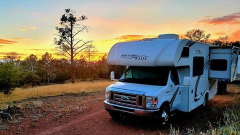 Thor "Freida" Freedom Elite - Compact and Comfy! Drivable vehicle in Castle Rock