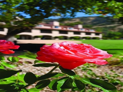 Hotel Interior/Public Areas