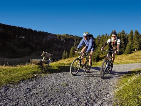 Fitness & Recreational Facilities