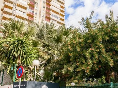 Property view