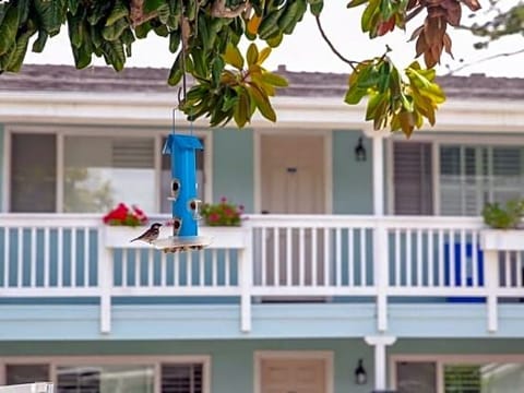 Hotel Interior/Public Areas