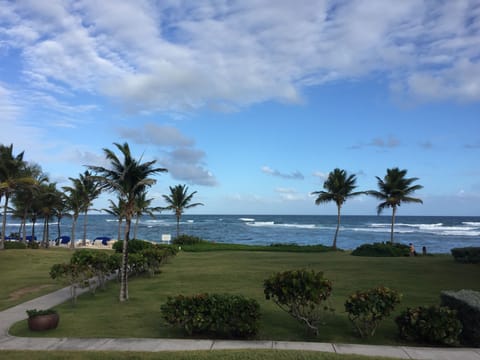 Beach/ocean view