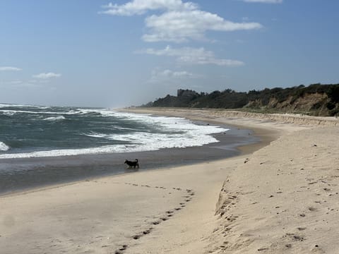 Beach towels