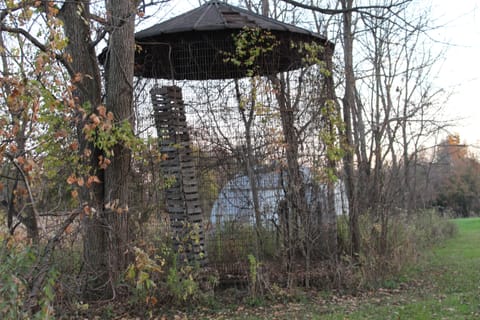 Future relaxation & viewing area