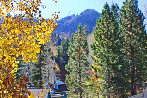 View of KT-22 from Living Area