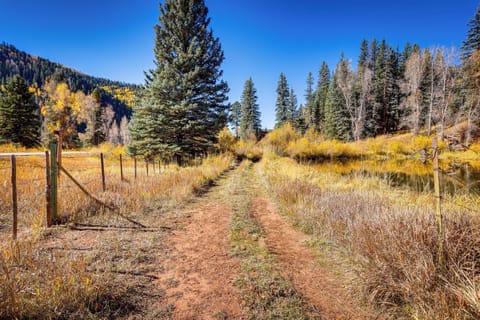 Parking | Driveway (6 Vehicles)