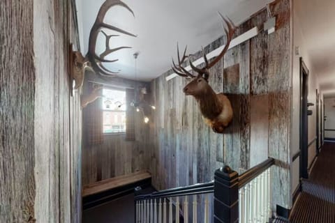 216825bf-7fa0-4944-bcb6-46e11264ffd6