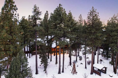 Snow and ski sports