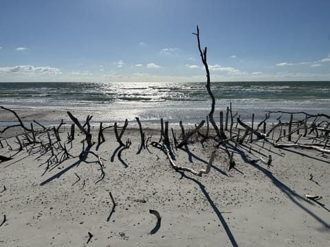 Beach nearby, sun loungers, beach towels