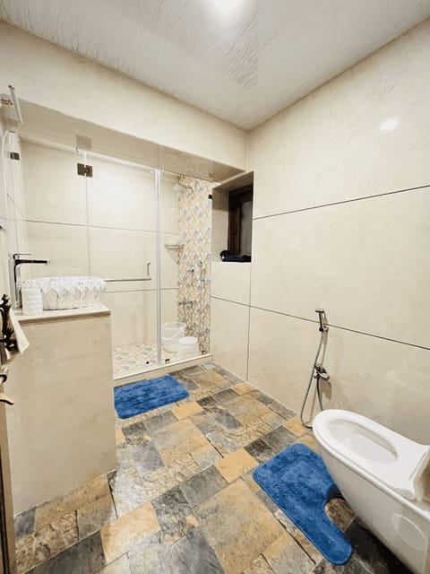 Combined shower/tub, jetted tub, hair dryer, bidet