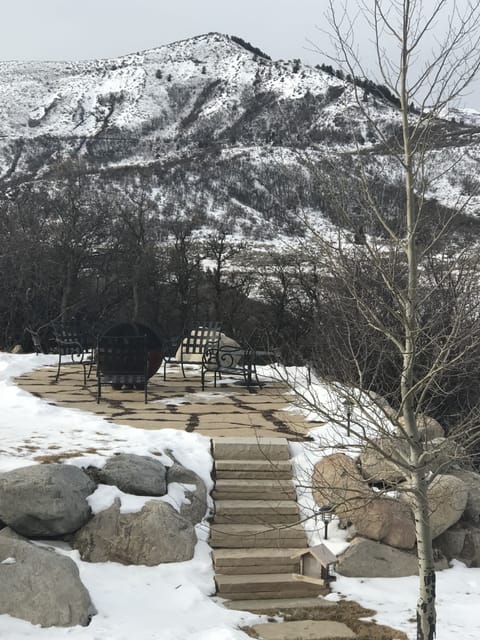 Firepit in the winter